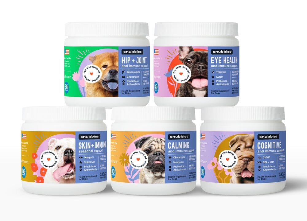 The Founders Behind Snubbies: Snub Nose Dog Breed Supplements