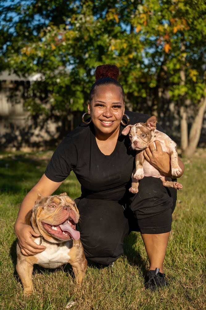 Big Bag Bullies: French Bulldog and Micro Bully Breeder in Georgia