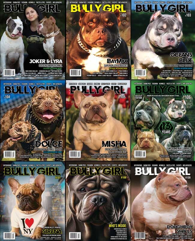 Bully Girl Magazine: The Best Resource for Bully Dog Breeders