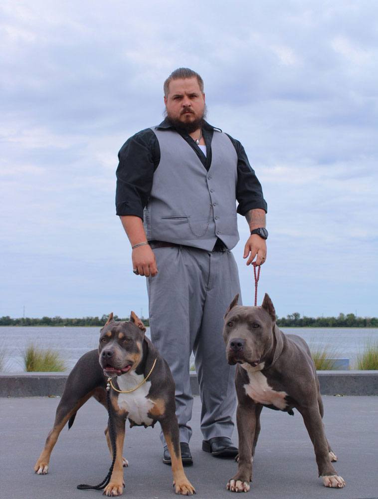 Chucktown Bulliez: XL American Bully Breeder in South Carolina