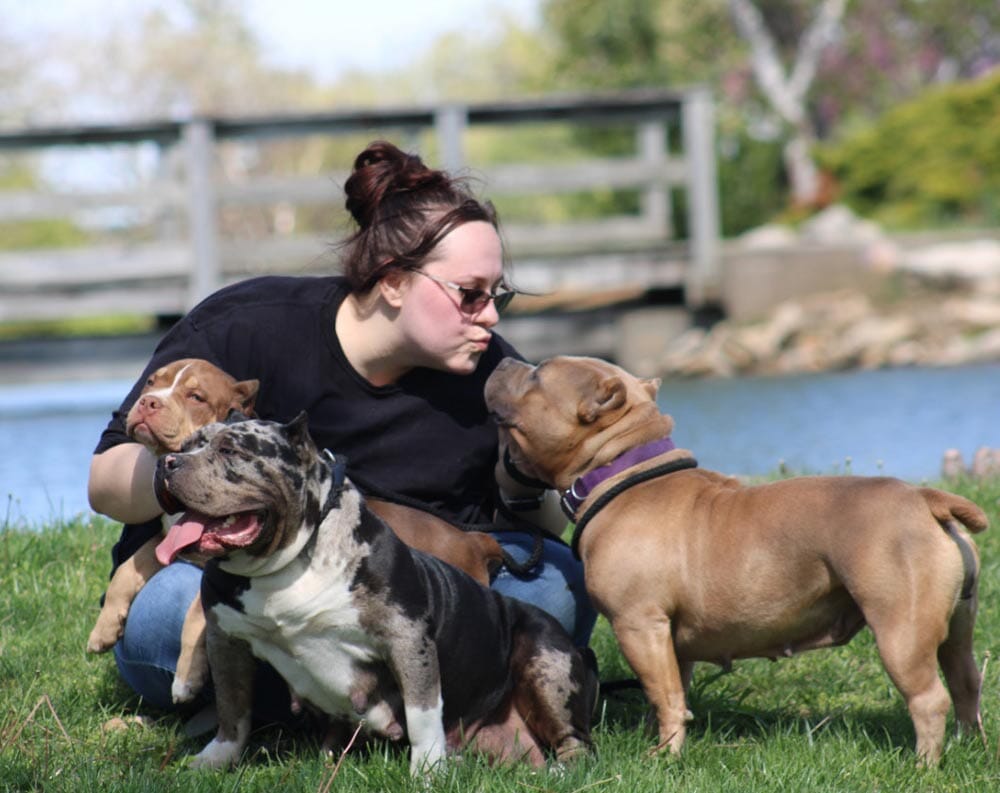 Inside Look: How an American Bully Kennel in Kansas is Redefining the Breed