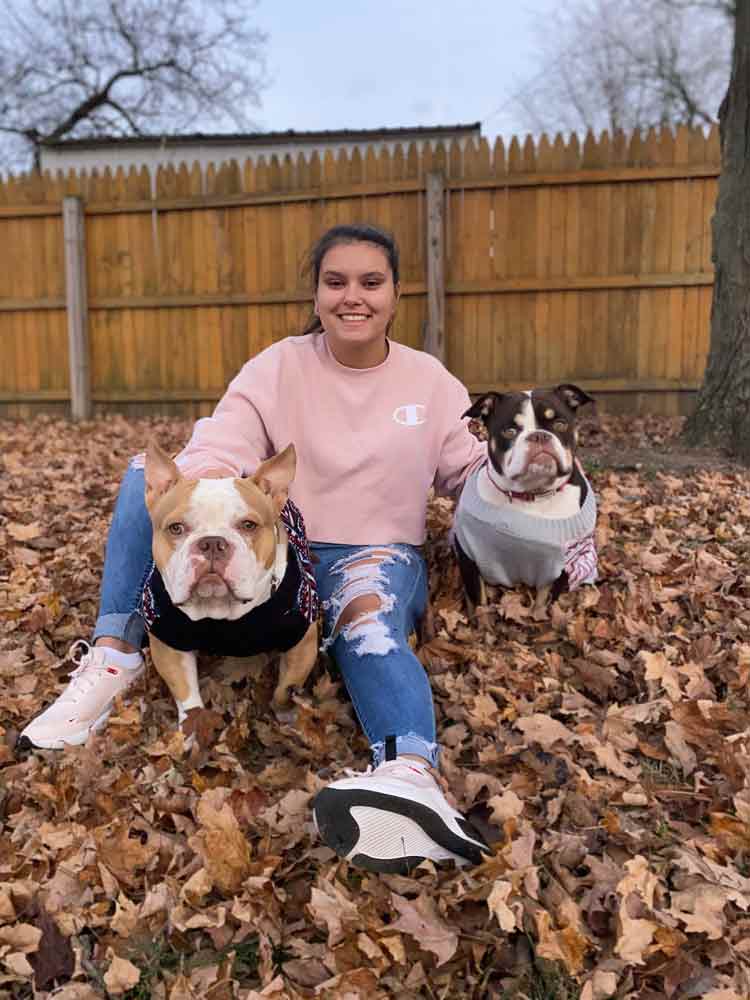 Dynasty Bullys: Micro/Pocket American Bully Breeder in Michigan