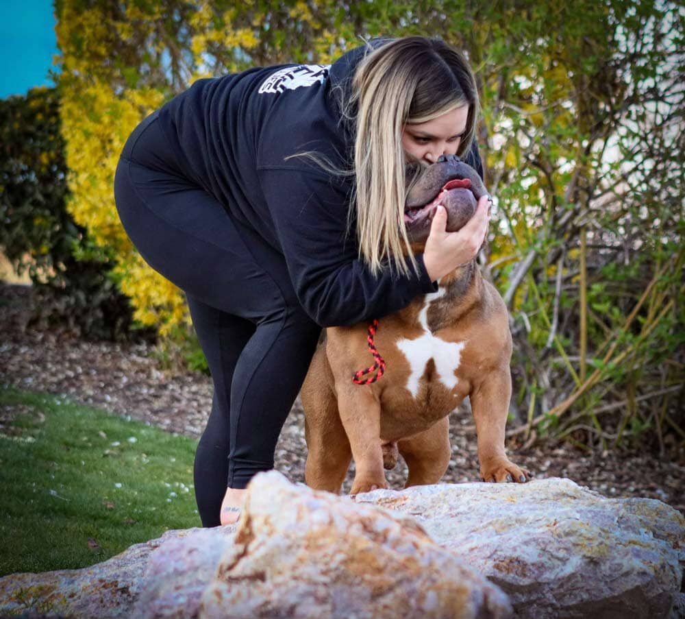 Fabled Bullies: American Bully Breeder in Idaho