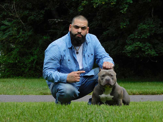 Familia Legacy Kennels: Standard, Pocket and Micro Bully Breeder in New Jersey