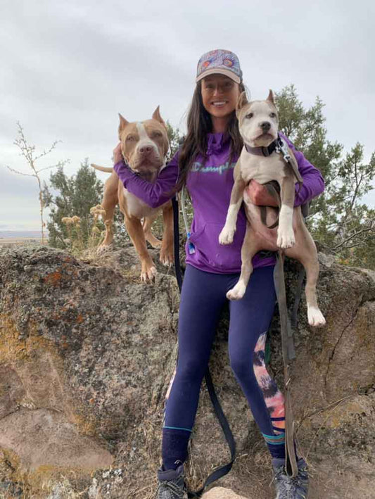 Grand Teton Bullies: XL American Bully Breeder in Idaho