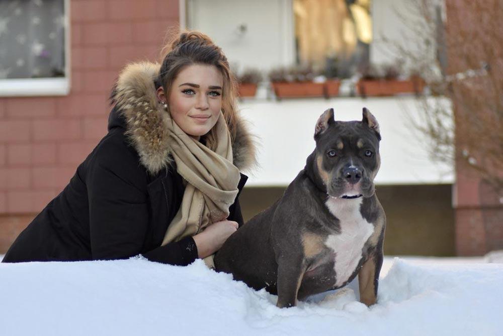 Granit Bullyz: American Bully and French Bulldog Breeder in Germany