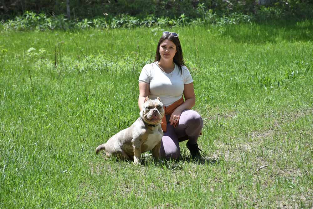 House of Bully: American Bully Breeder in Canada