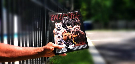 How to Ship Bully Girl Magazine to an Inmate, Jail or Prison Facility?