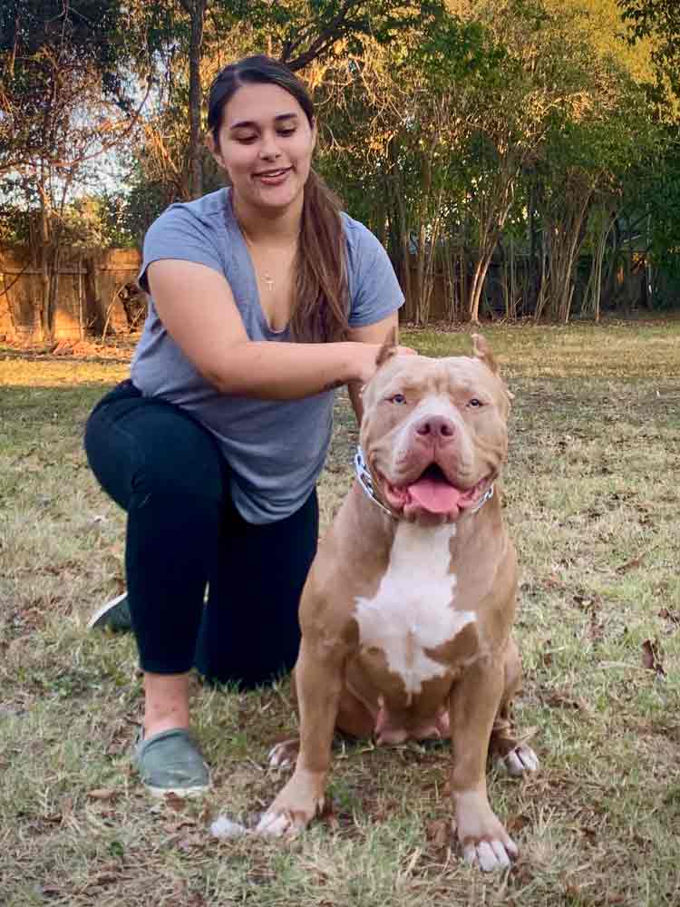 J&B Bully Kennel: American Bully Breeders in Texas