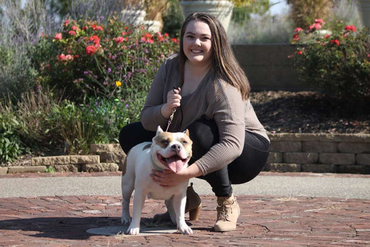 Kaizen Bullies: Veteran Owned and Operated American Bully Kennel