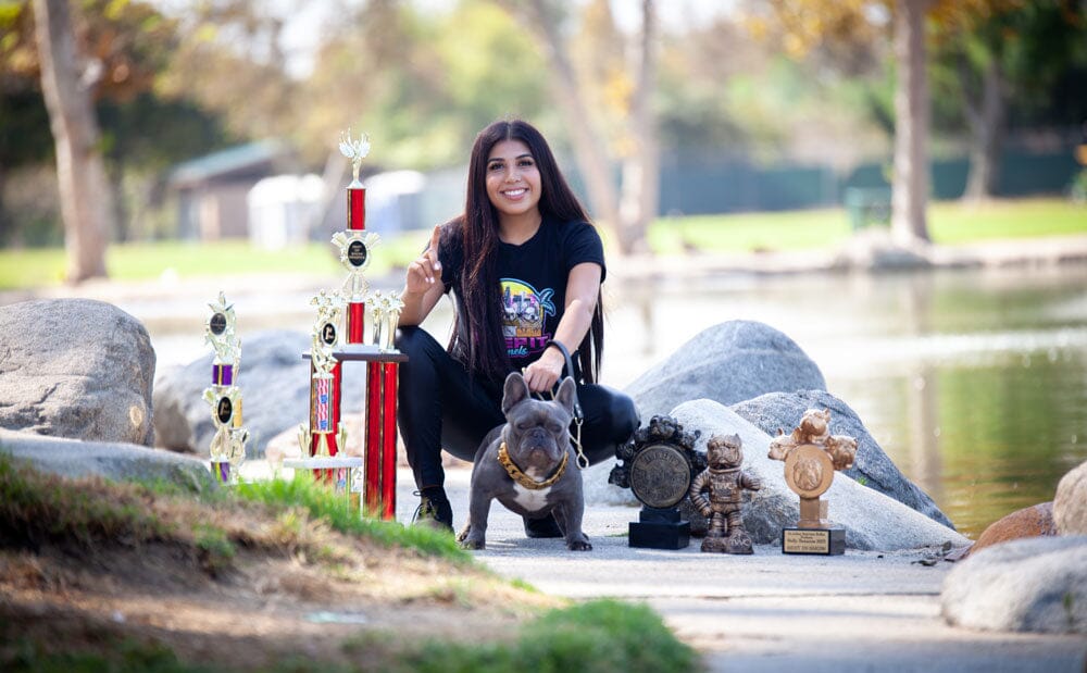 Keep It Kennels: French Bulldog Breeder in California