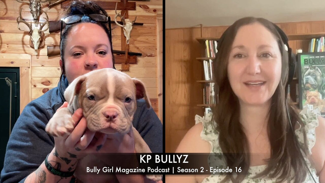 Exotic Bully vs American Bully: The Ultimate Breakdown with KP BullyzClean Exotic Bully: The Secret Sauce of KP Bullyz' Success