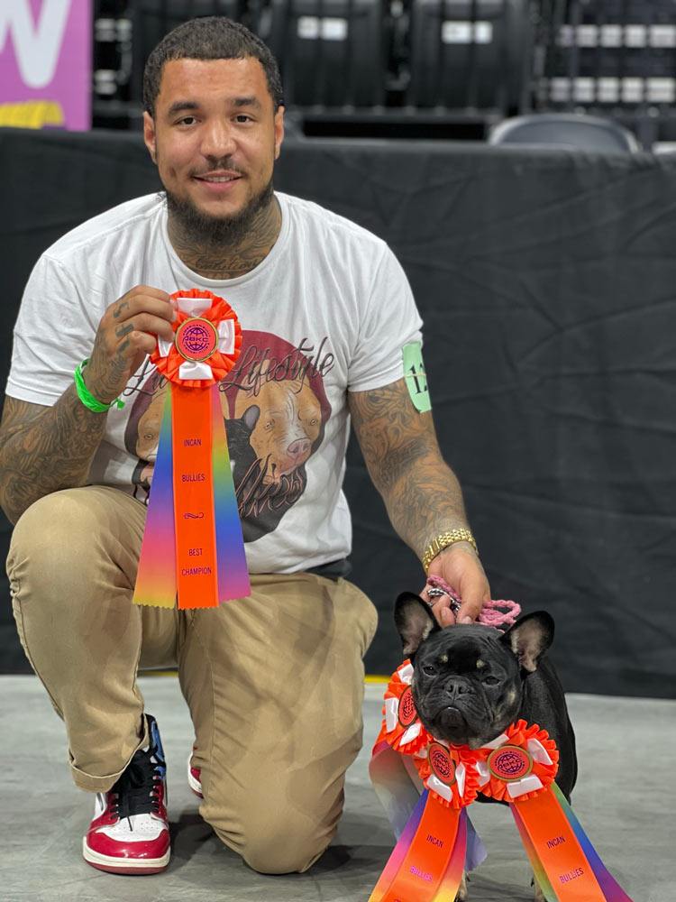 Lavish Lifestyle Bullies: American Bully and French Bulldog Breeder in VA