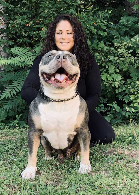 Levi Bullies: XL American Bully Breeder in Canada