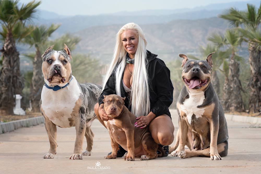 Lilz Bullz Marbella: XL American Bully Breeder in Spain