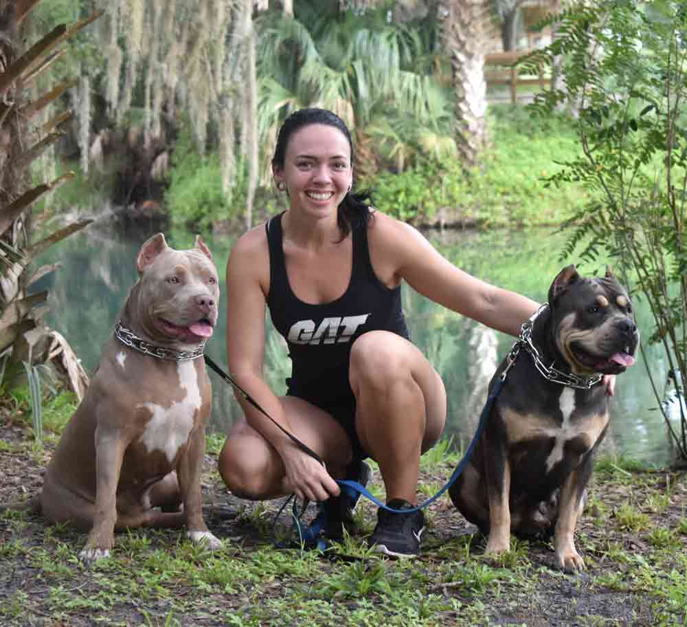 Oasis Bullies: American Bully and Pit Bull Breeder in Florida