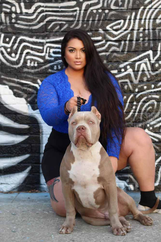 Ohana Bully Company: XL American Bully Breeder in Texas