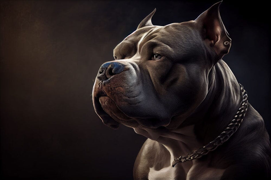 Understanding the Phenomenon of Bully Breeds | BGM Warehouse