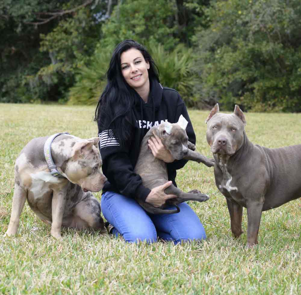 Supreme XL Bullies | XL American Bully Breeder in Florida