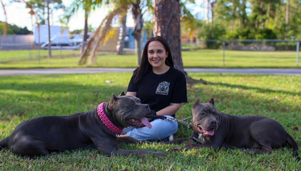 Underworld XL Bullies | XL American Bully Breeder in Florida