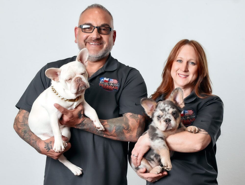 Inside the World of Veteran Frenchies: Texas' Premier French Bulldog Breeders