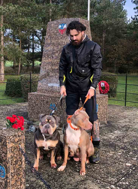 Whitehouse Bullies: XL American Bully Breeder in the UK