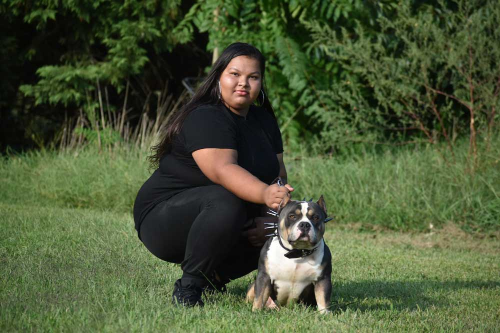 X-File Bullies: American Bully Breeder in Delaware