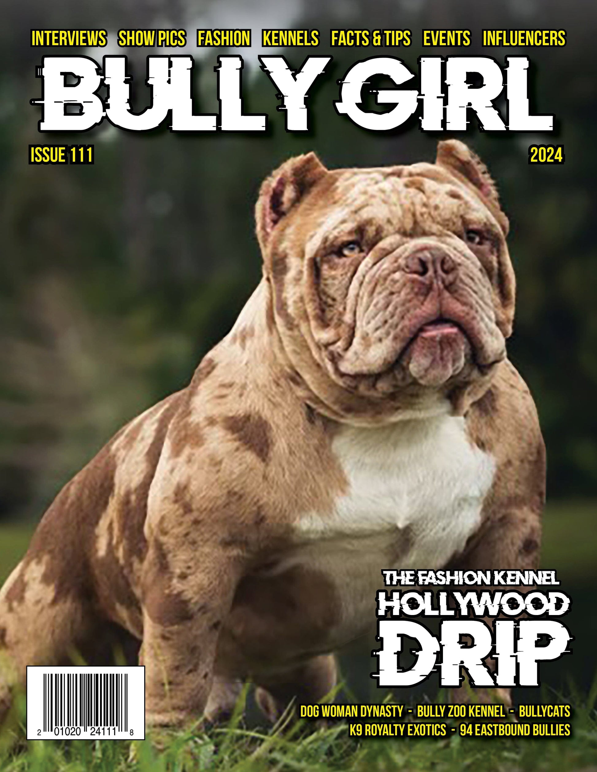 Bully Girl Magazine Issue 111 Magazines & Newspapers BGM Warehouse 