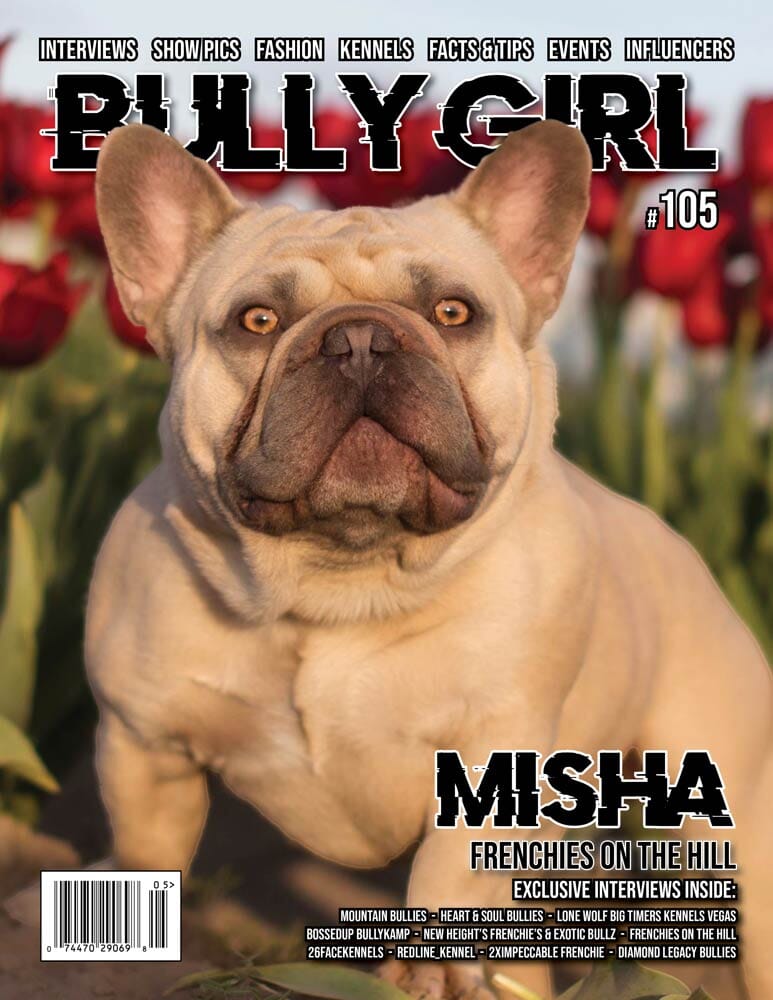 Bully Girl Magazine Issue 105 | Frenchies on the Hill - Misha