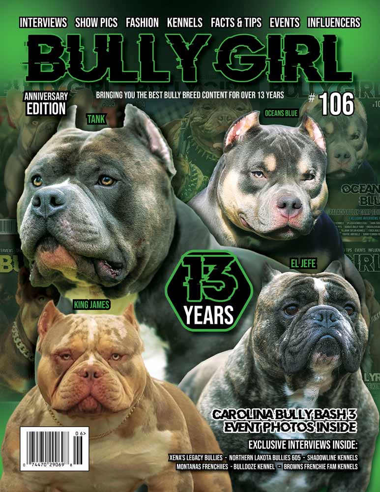 Bully Girl Magazine Issue 106 - 13 Year Anniversary Edition