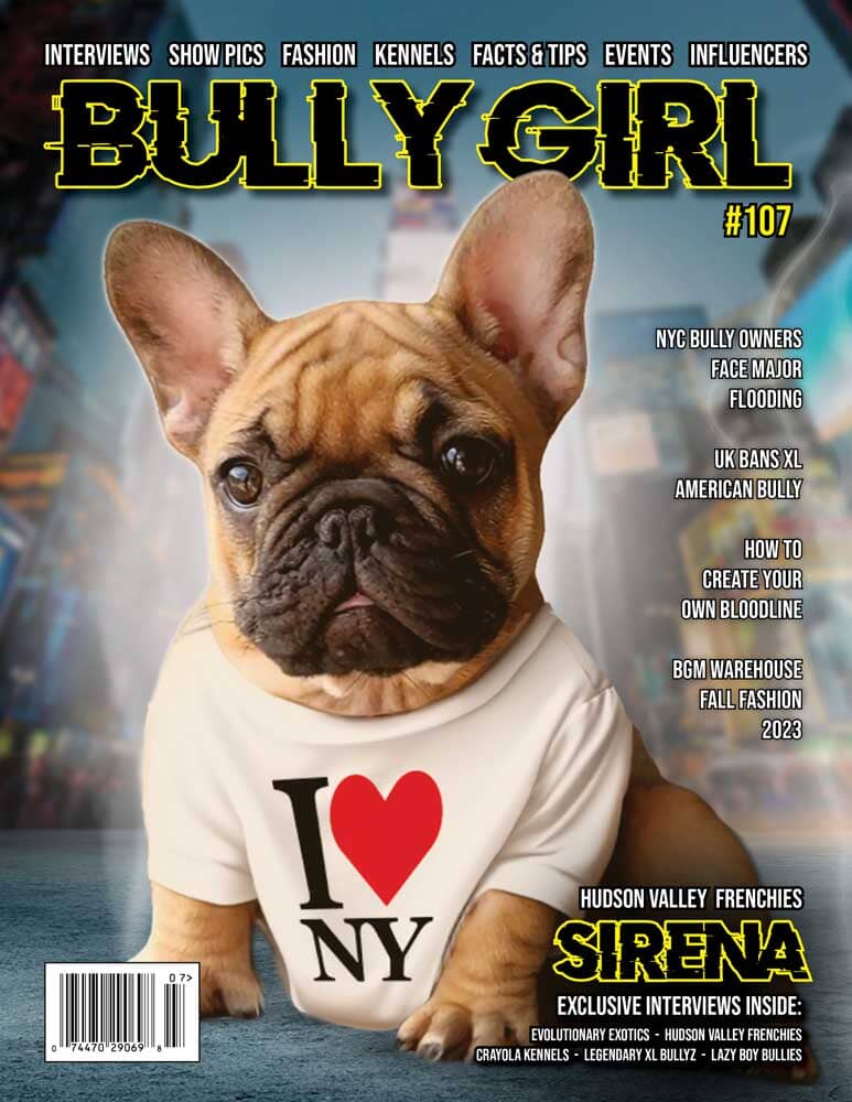 bully-girl-magazine-issue-107-lr