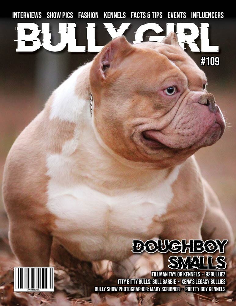 bully-girl-magazine-issue-109-bgm-warehouse