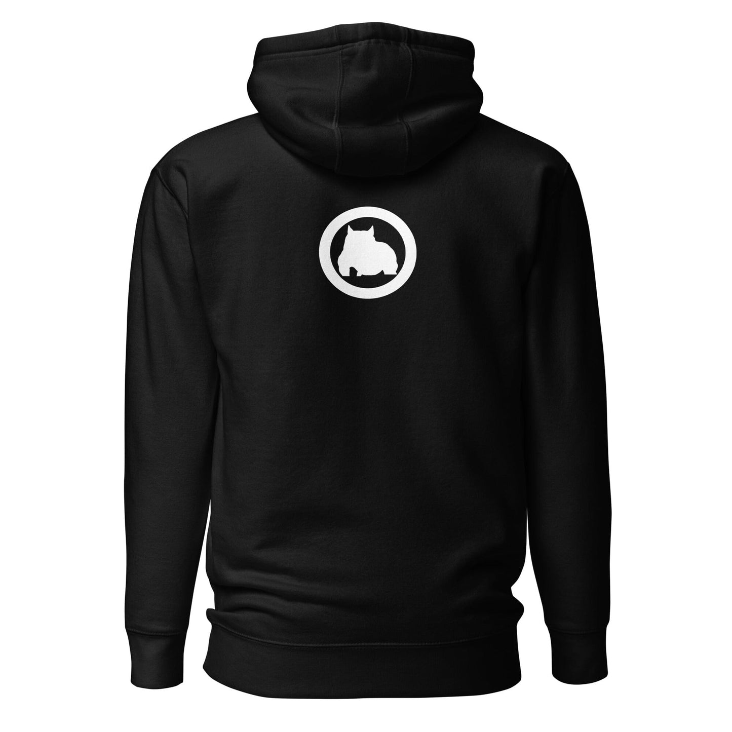 unisex-premium-hoodie-black-back-652590284a20b