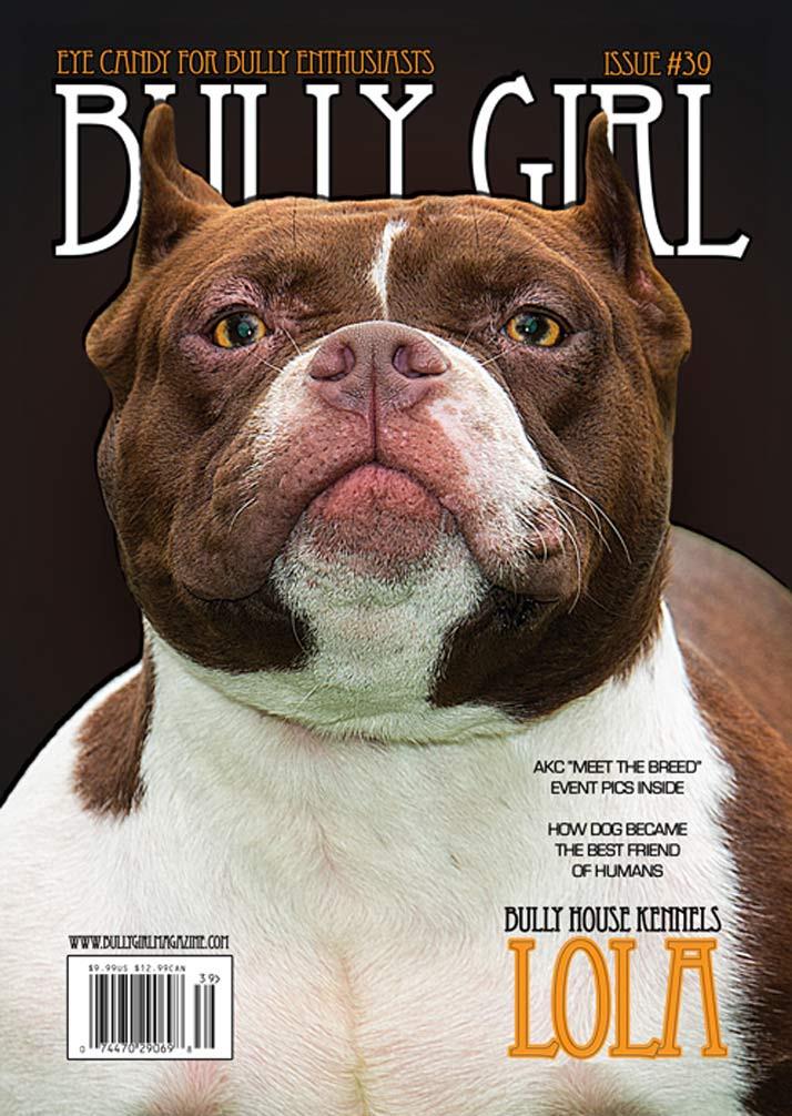 Bully Girl - Digital Issue 39 - BGM Warehouse - The Best Bully Breed Magazines, Clothing and Accessories