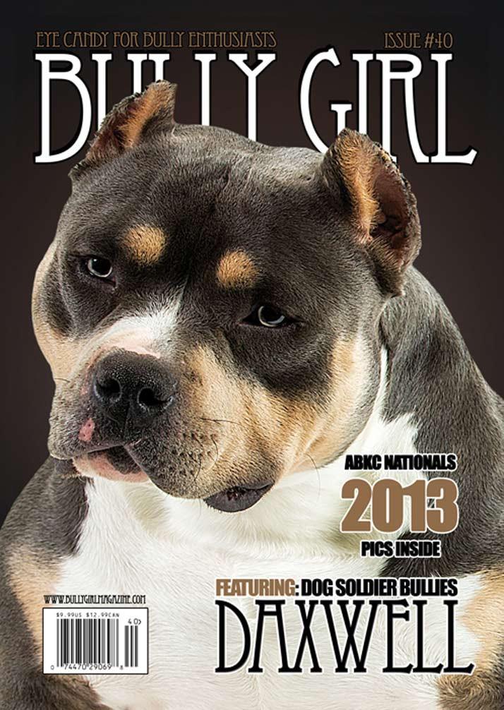 Bully Girl - Digital Issue 40 - BGM Warehouse - The Best Bully Breed Magazines, Clothing and Accessories