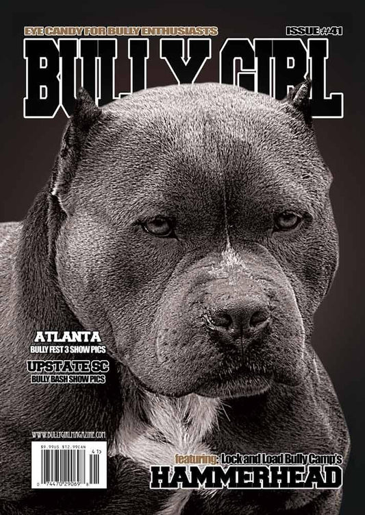 Bully Girl - Digital Issue 41 - BGM Warehouse - The Best Bully Breed Magazines, Clothing and Accessories