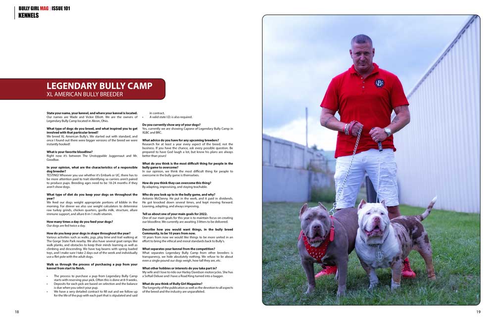 Bully Girl Magazine Issue 101 (Last few Copies) - BGM Warehouse - American Bully Magazines and Supplies