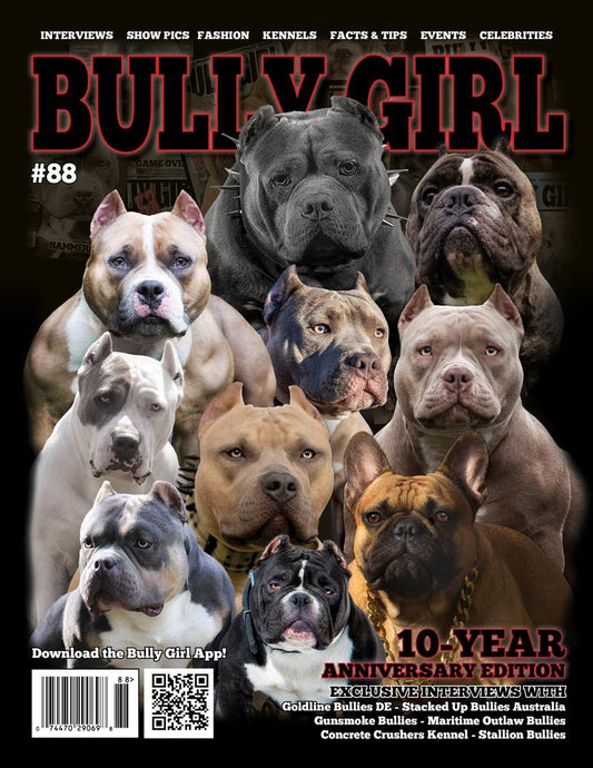 Bully Girl Magazine Issue 88 (10-Year Anniversary Edition) - PRE-ORDER - BGM Warehouse - The Best Bully Breed Magazines, Clothing and Accessories