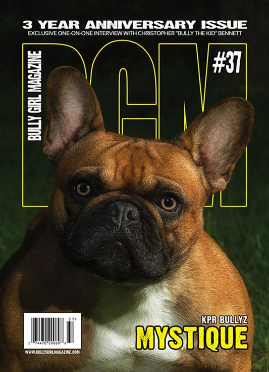 Bully Girl - Digital Issue 37 - BGM Warehouse - The Best Bully Breed Magazines, Clothing and Accessories