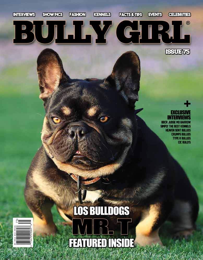 Bully Girl - Digital Issue 75 - BGM Warehouse - The Best Bully Breed Magazines, Clothing and Accessories