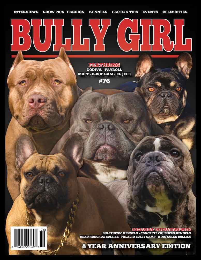 Bully Girl - Digital Issue 76 - BGM Warehouse - The Best Bully Breed Magazines, Clothing and Accessories