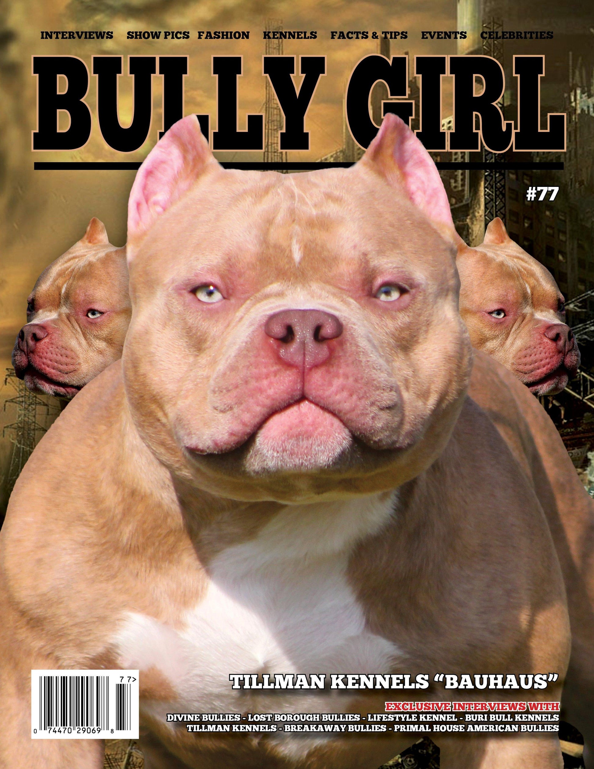 Bully Girl - Digital Issue 77 - BGM Warehouse - The Best Bully Breed Magazines, Clothing and Accessories