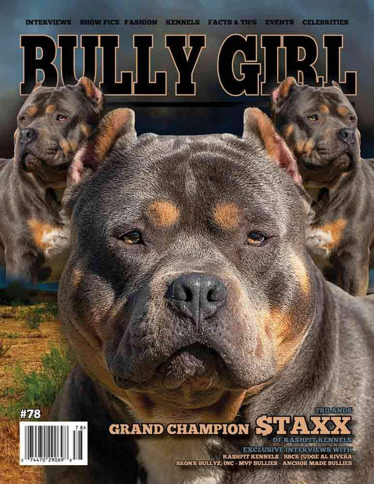 Bully Girl - Digital Issue 78 - BGM Warehouse - The Best Bully Breed Magazines, Clothing and Accessories