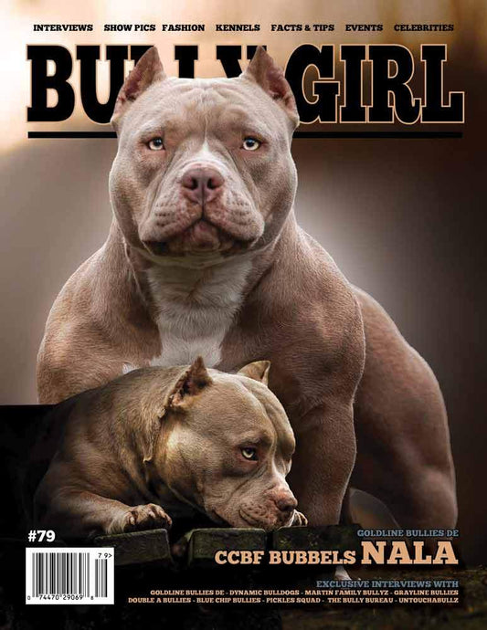 Bully Girl - Digital Issue 79 - BGM Warehouse - The Best Bully Breed Magazines, Clothing and Accessories