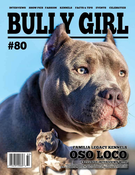 Bully Girl - Digital Issue 80 - BGM Warehouse - The Best Bully Breed Magazines, Clothing and Accessories