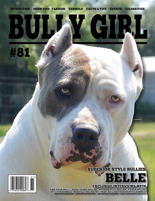 Bully Girl - Digital Issue 81 - BGM Warehouse - The Best Bully Breed Magazines, Clothing and Accessories