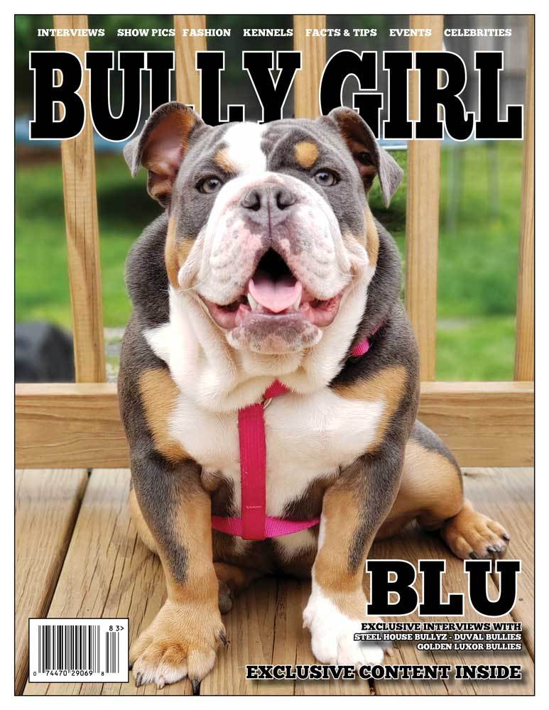 Bully Girl - Digital Issue 83 - BGM Warehouse - The Best Bully Breed Magazines, Clothing and Accessories