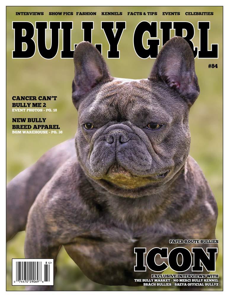 Bully Girl - Digital Issue 84 - BGM Warehouse - The Best Bully Breed Magazines, Clothing and Accessories