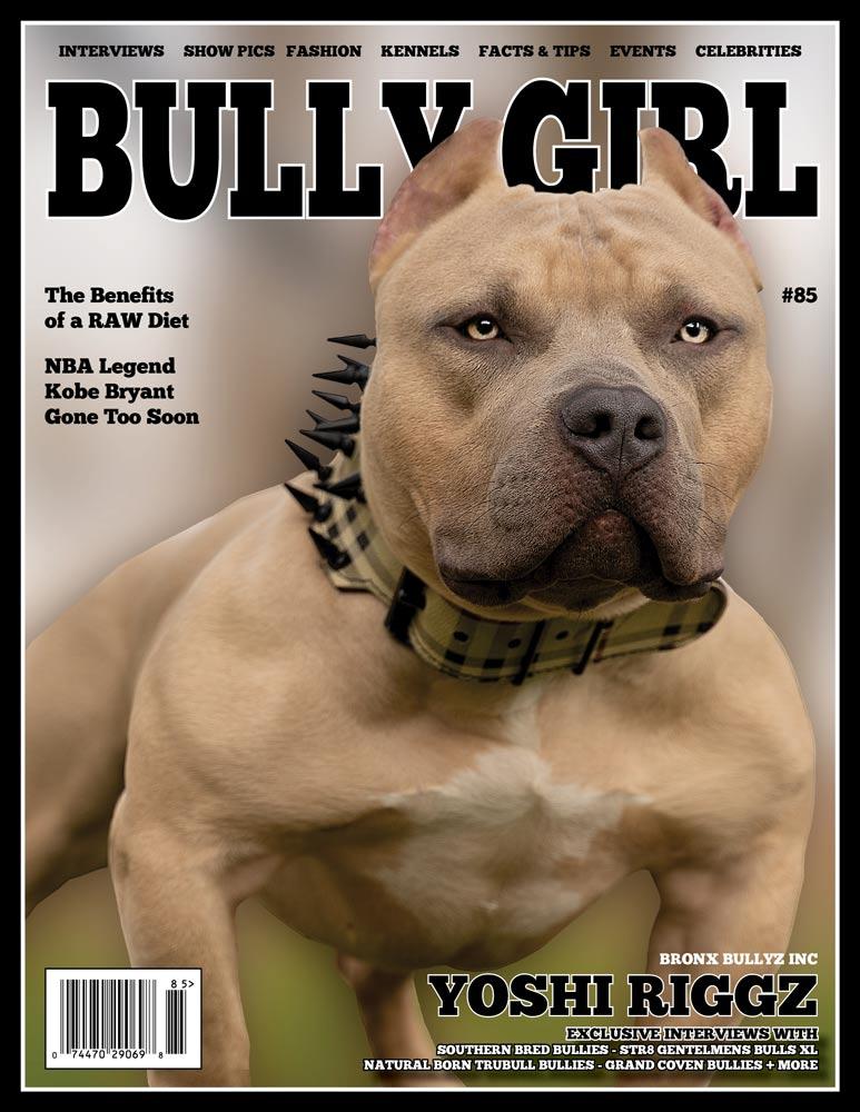 Bully Girl - Digital Issue 85 - BGM Warehouse - The Best Bully Breed Magazines, Clothing and Accessories