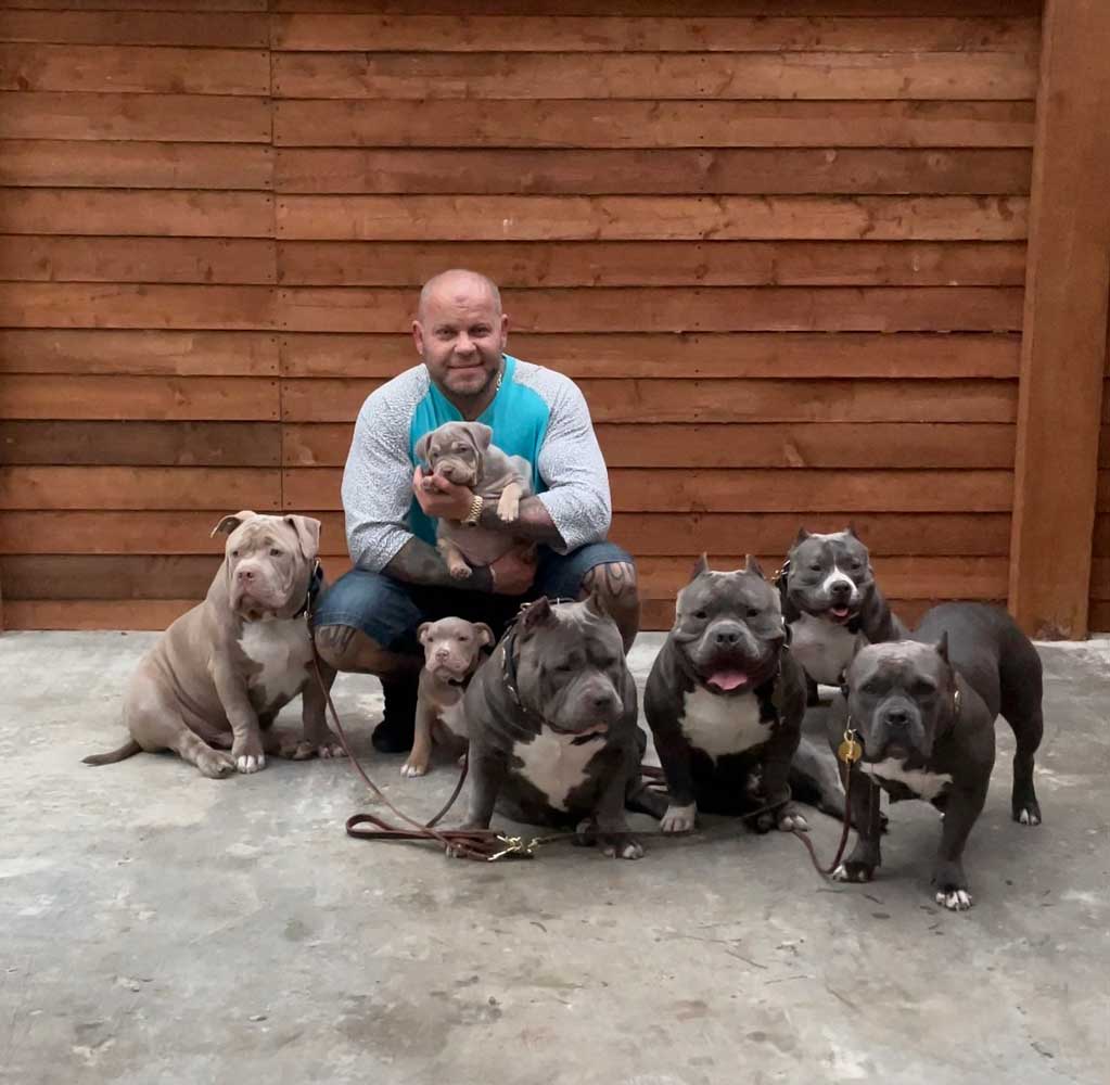 Bully Breed Instagram Page Promotion